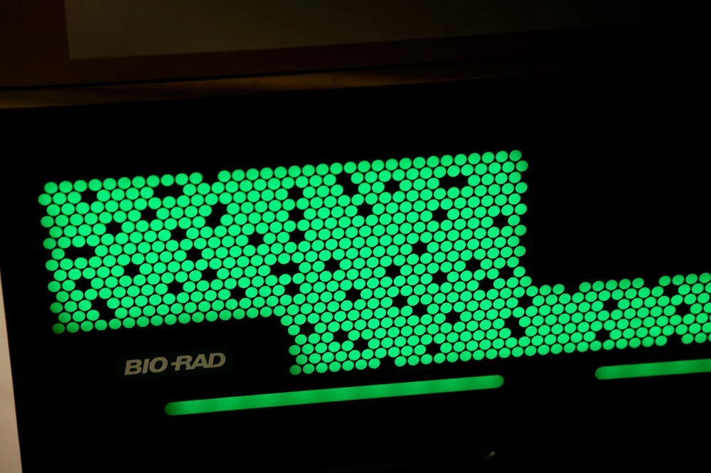 QX700 Droplet Digital PCR System